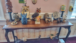 Room 17 The Owl Room