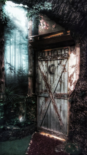 Room 16 Boggy Creek Camp