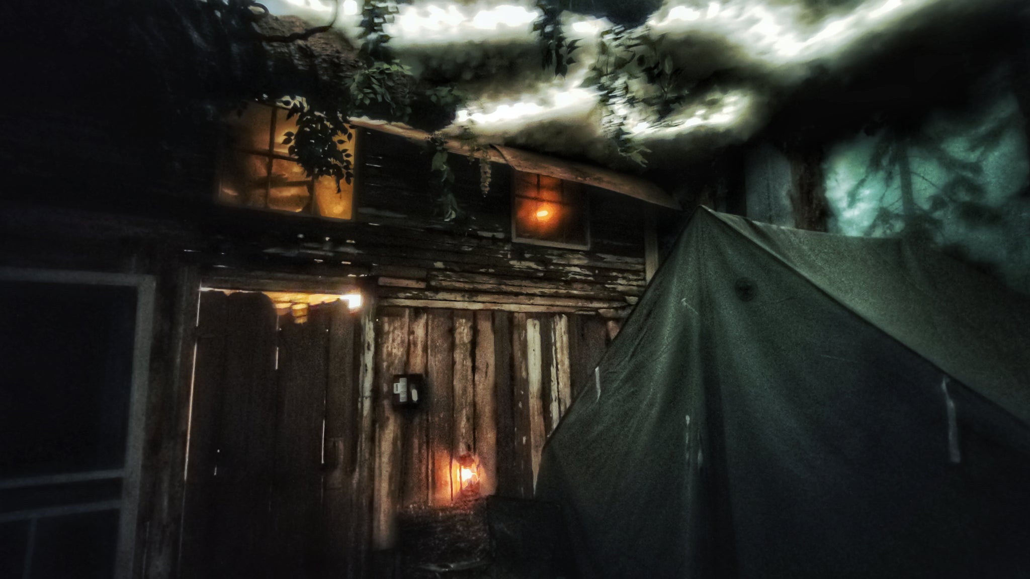 Room 16 Boggy Creek Camp